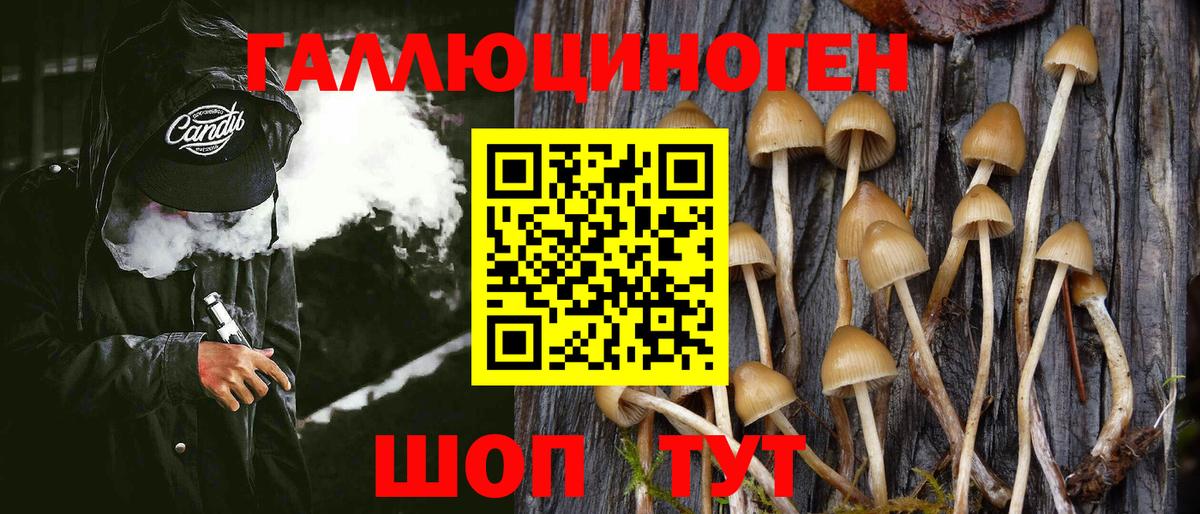Галлюциногенные грибы Magic Shrooms Фрязино