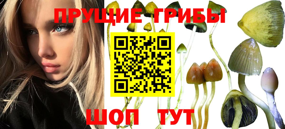 ГАШ Фрязино